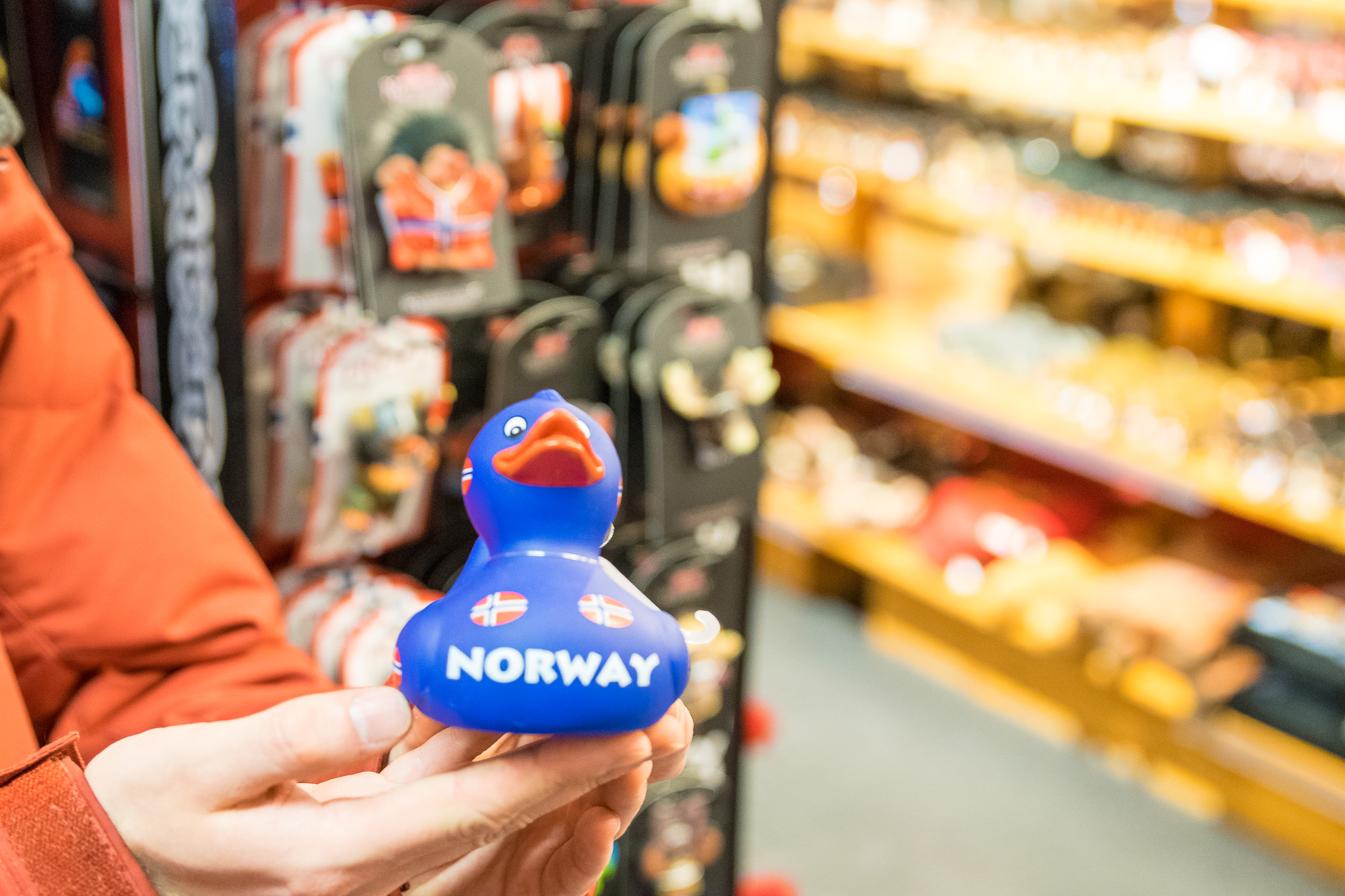 Die norwegische Ente ist ein enger Verwandter des Reisemaskottchens eines Mitreisenden. Leider sind die beiden sich nicht begegnet.