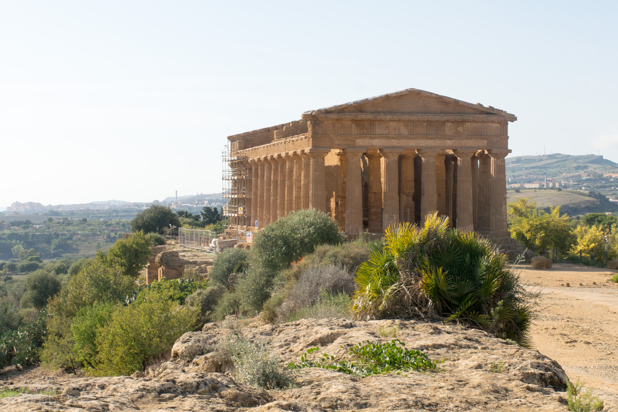 Der Blick von hinten - die Büsche verstecken die Baustelle vor dem Tempel