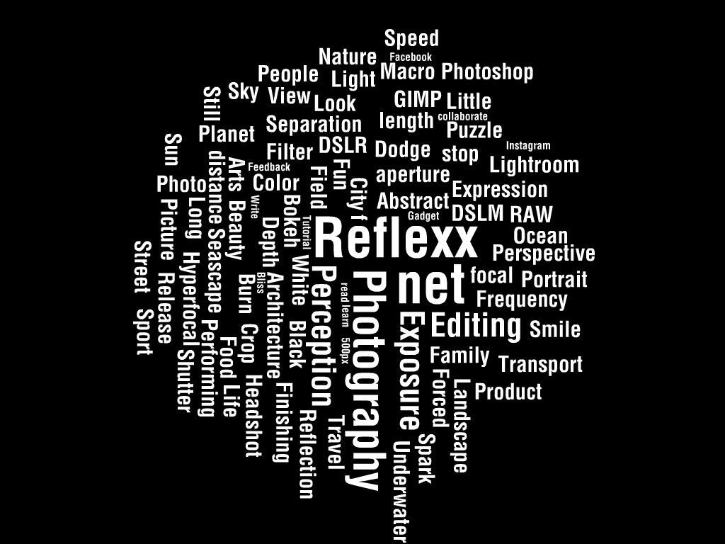 Reflexx-Wordcloud